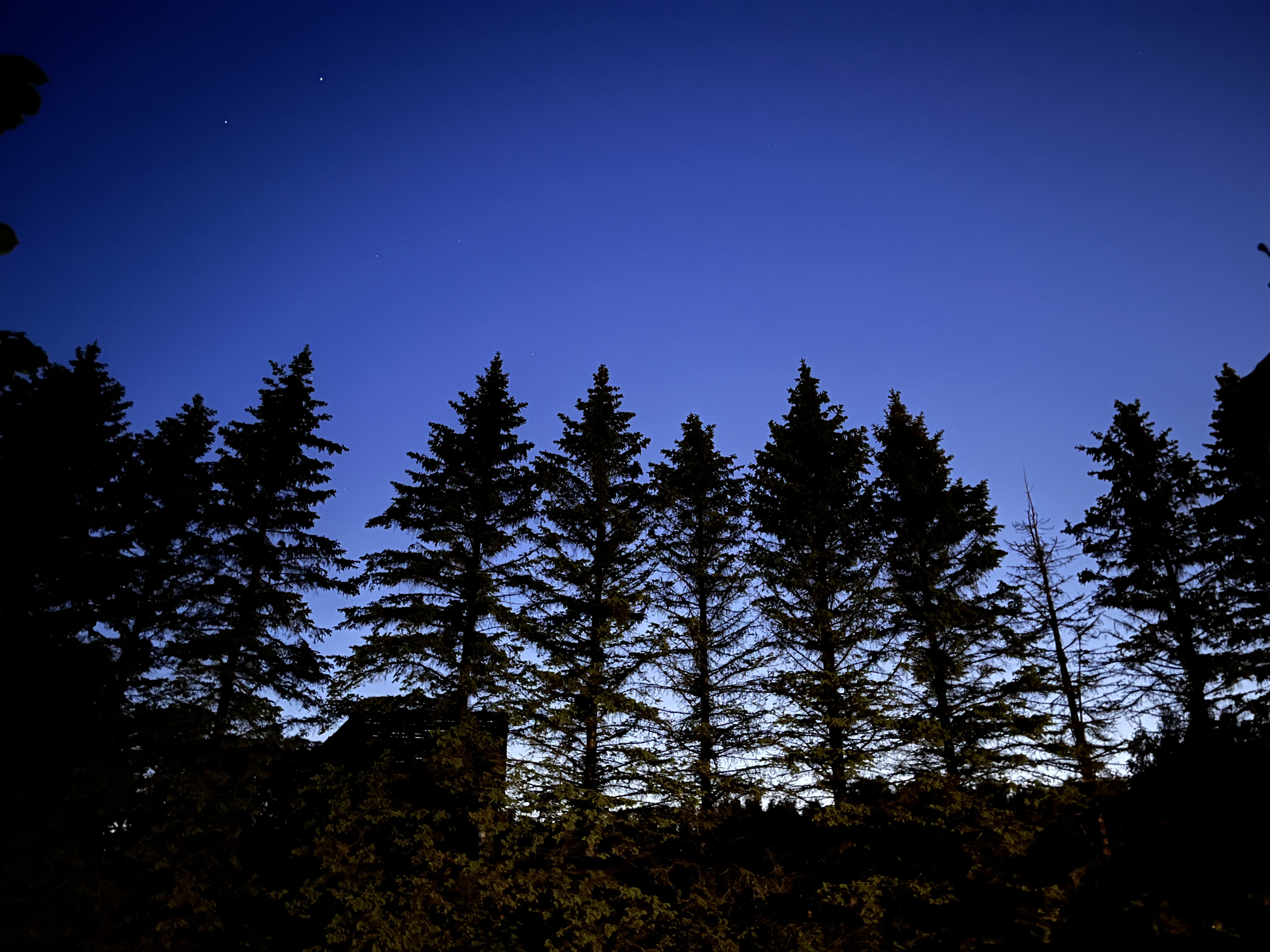 img-11843b6a-85dd-4e4f-a27e-0fe64a338109