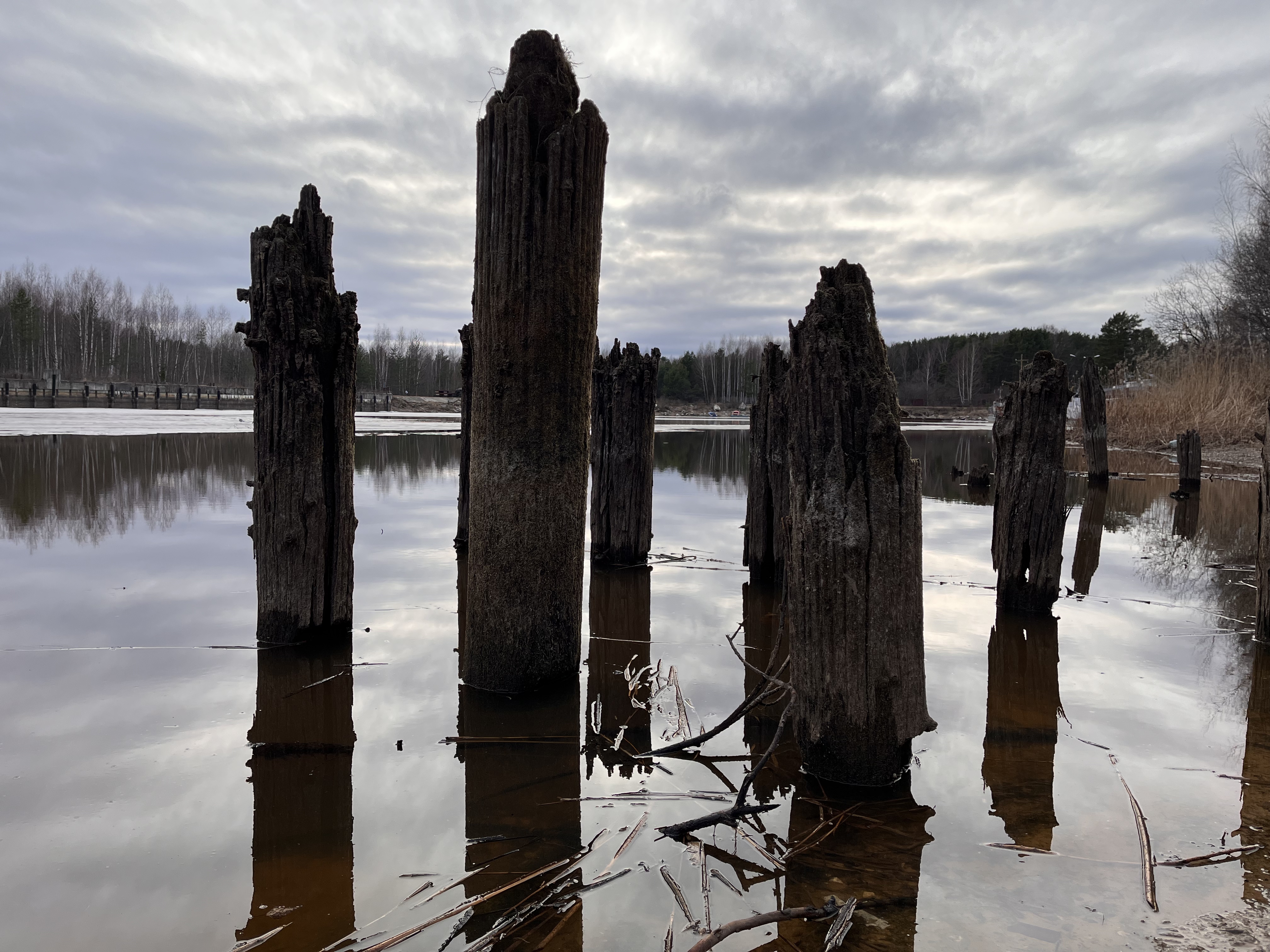 img-1d8f91c2-3afe-44a6-a71e-a9b8c5e25f49