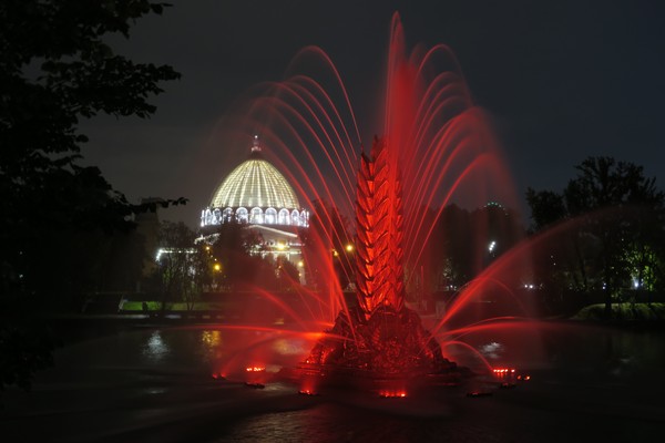 img-331d12fc-a28c-43e8-93ff-1d3a49dc84e2