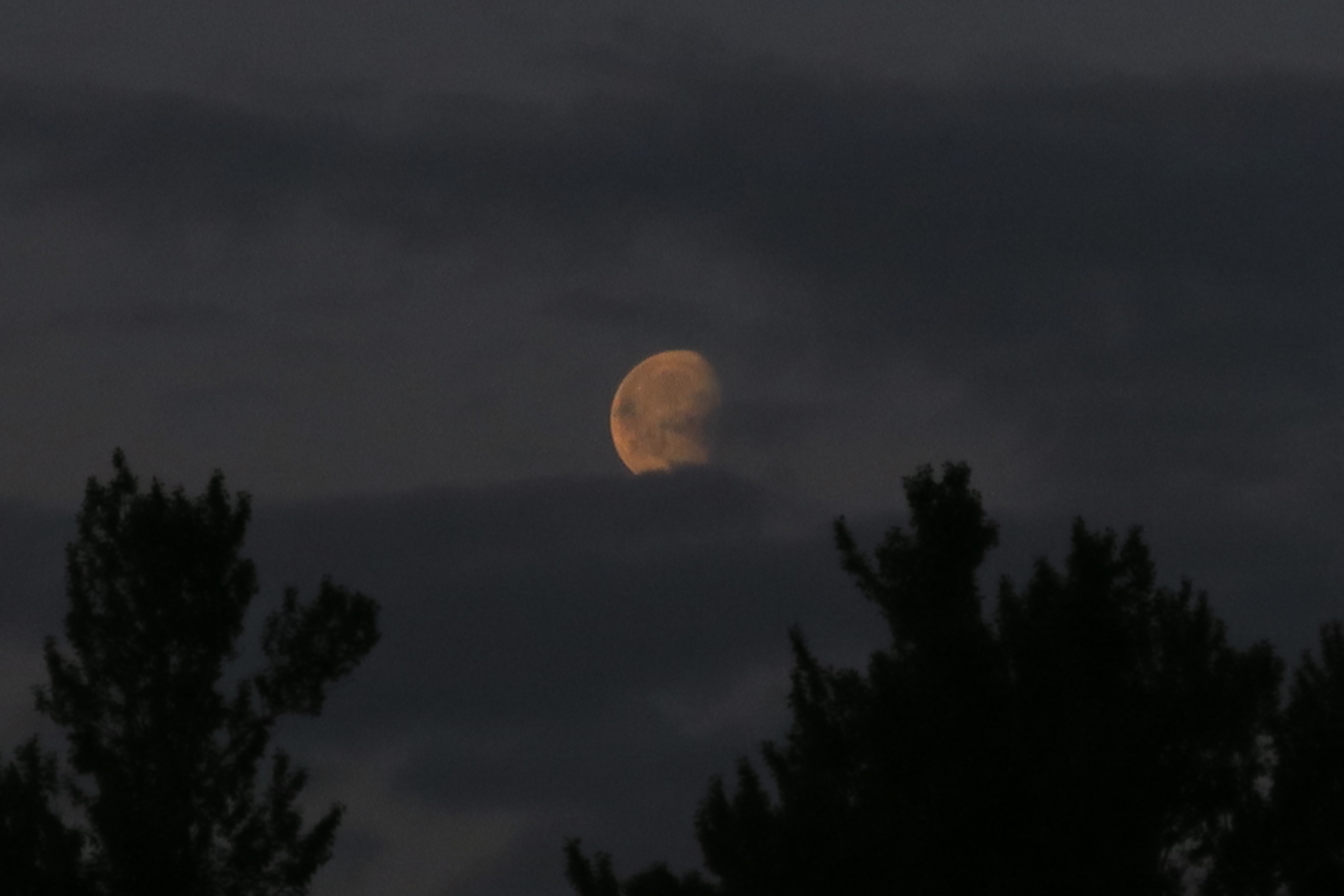 img-5d42da50-bec3-4078-8158-6ba0373462fa