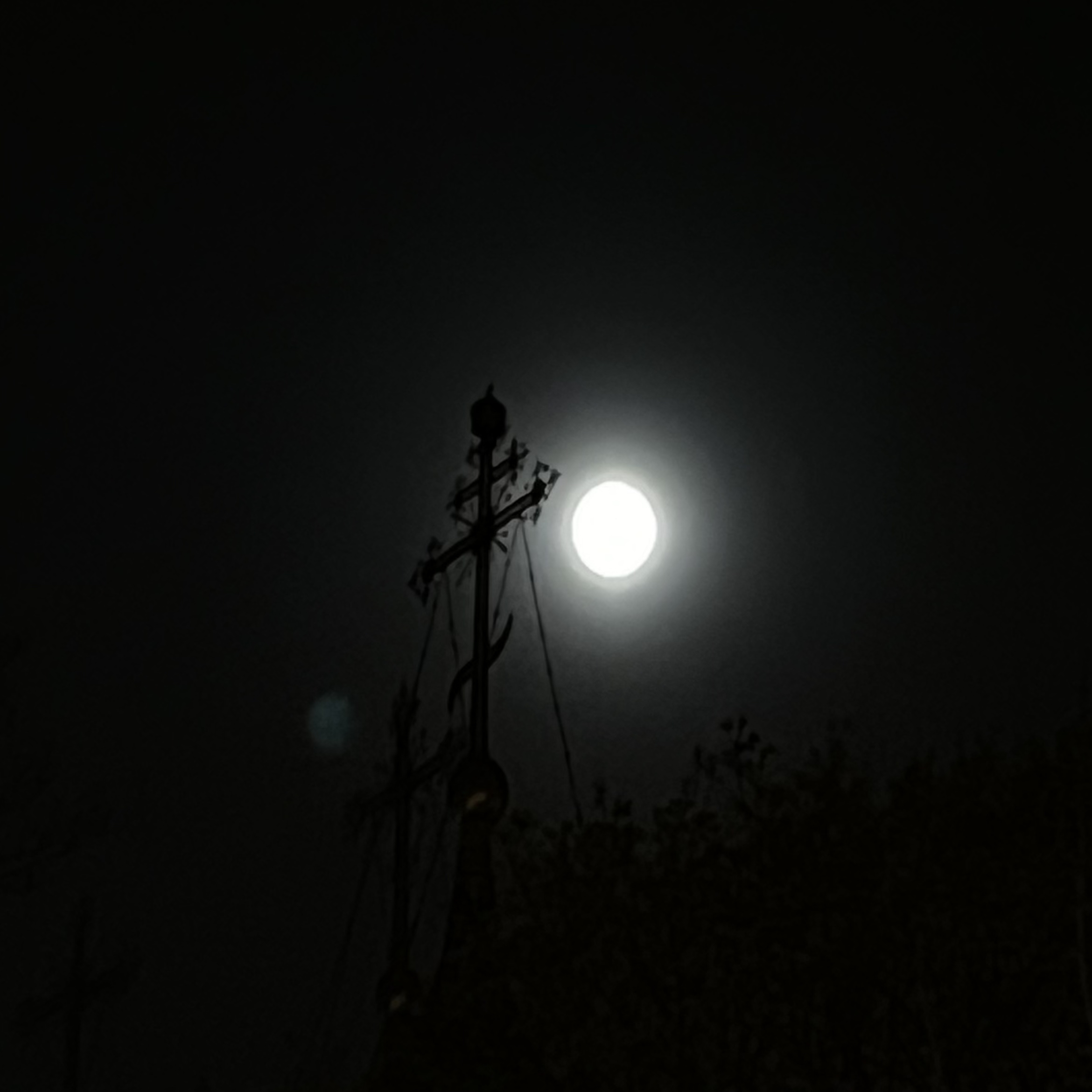 img-6a24b6a9-fc8e-4f17-be81-7d5bf03d8bcd